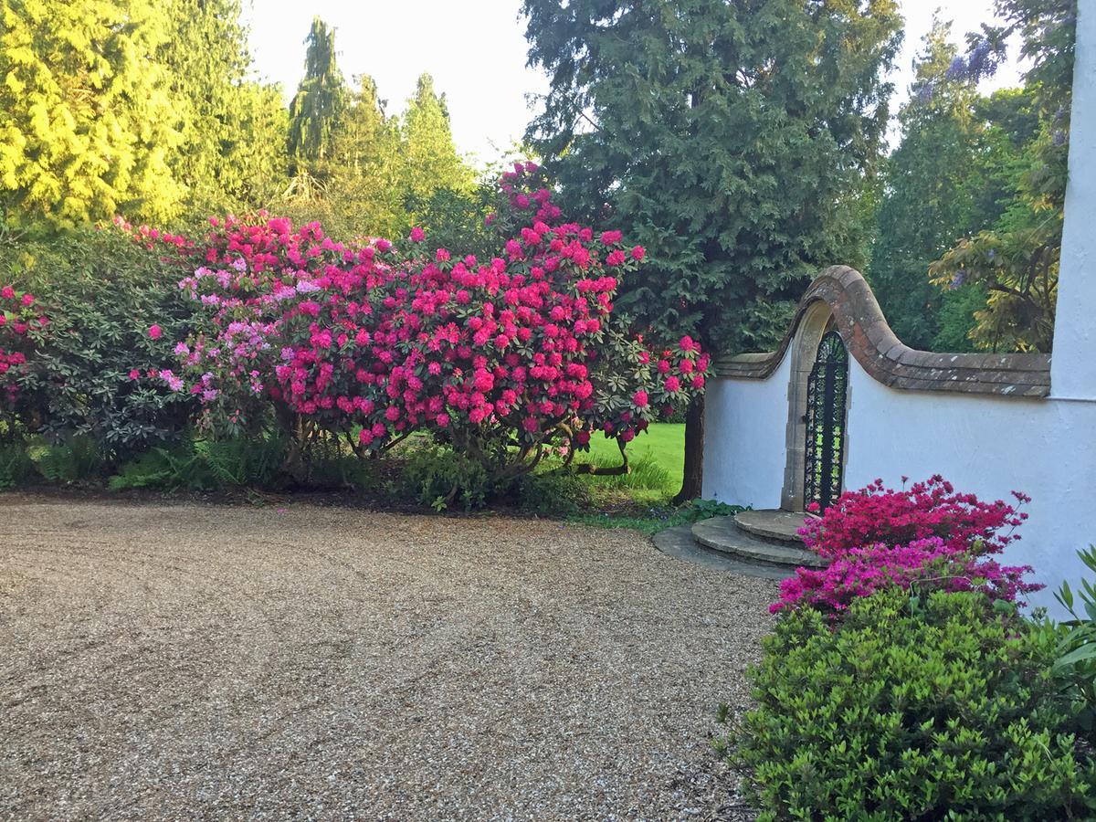 Bressenden Bed & Breakfast Biddenden Eksteriør bilde